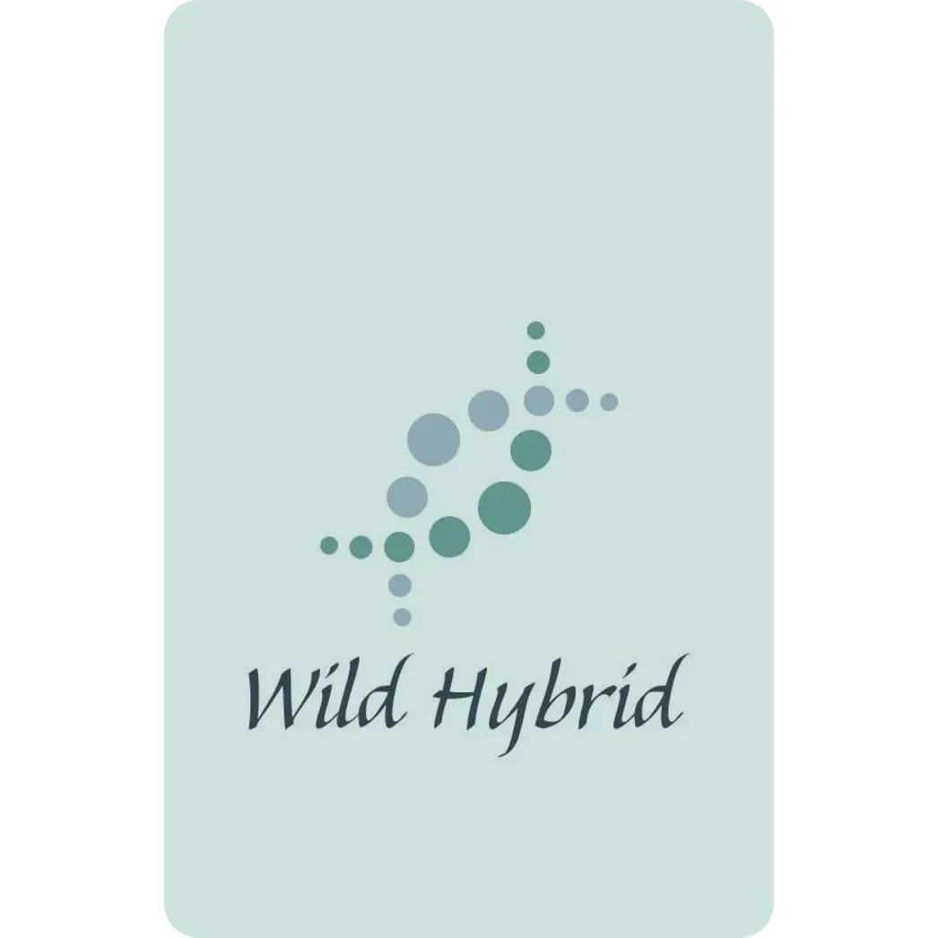 A Journey Into Darkness - Fairy Ring — Wild Hybrid