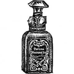 Miss O Club Privée — Oriflame
