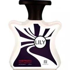 Lily — Ahmed Al Maghribi