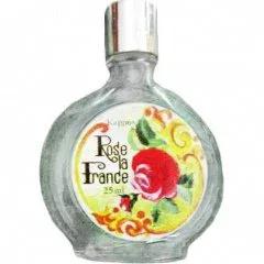 Rose la France — Kappus