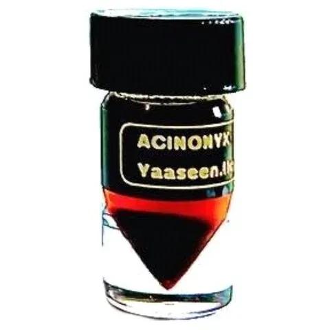 CoCo Bianca — Dar Al Teeb / House of Fragrance