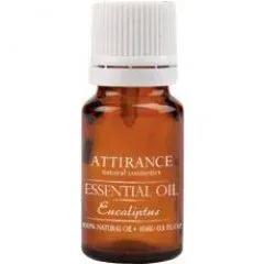 Essential Oil - Eucalyptus — Attirance