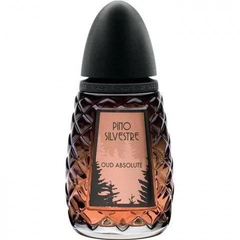 Oud Absolute — Pino Silvestre