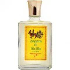 Zagara di Sicilia — Zuma