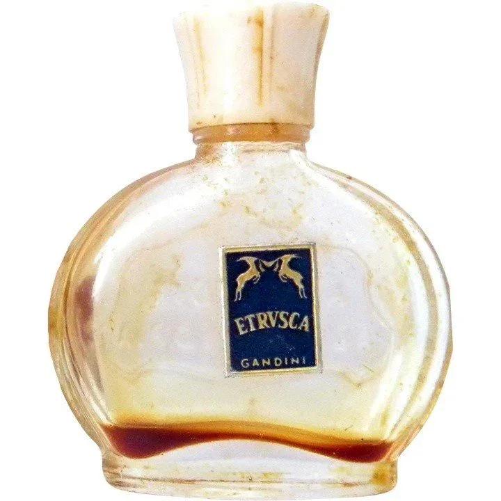 Etrusca — Gandini