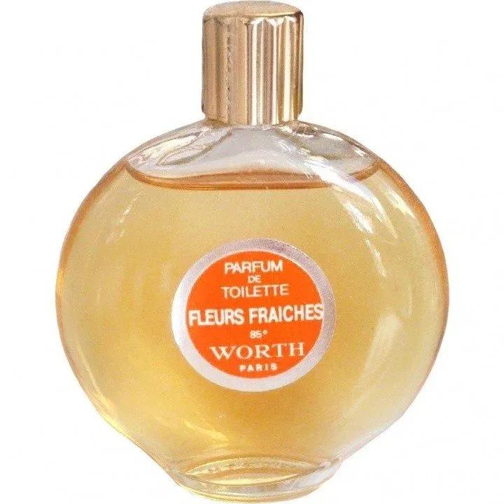 Domina — NG Perfumes