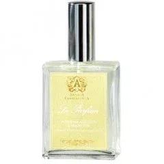 Tuberosa, Giacinto e Meghetto — Antica Farmacista