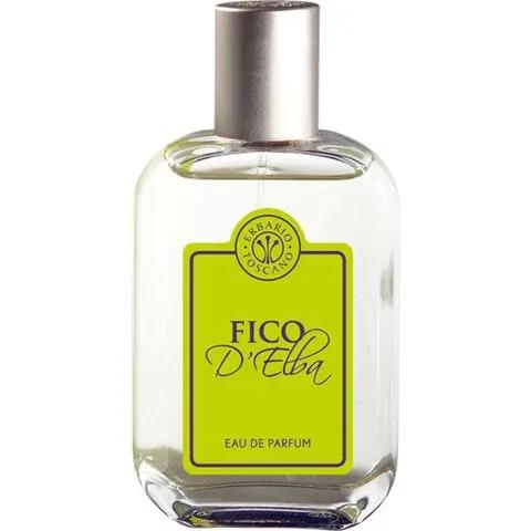 Fico d'Elba — Erbario Toscano