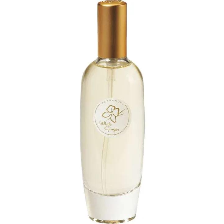 Island Collection - White Ginger — Terranova