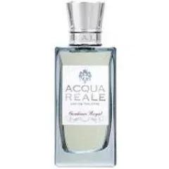 Busaiteen — Dar Al Teeb / House of Fragrance