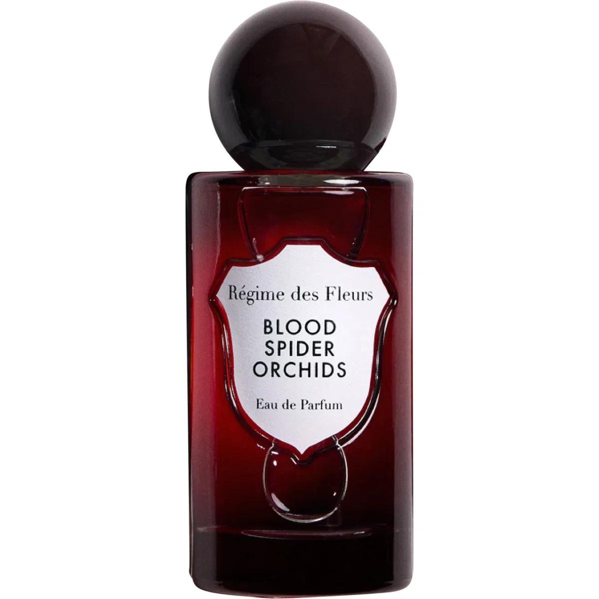 Blood Spider Orchids — Regime des Fleurs