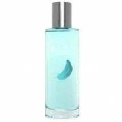 Agua Fresca Vetiver Vetiver Hombre — Adolfo Dominguez
