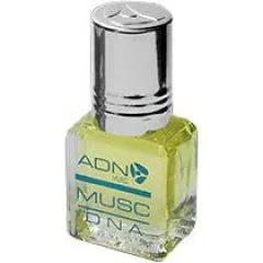 Musc DNA — ADN Paris