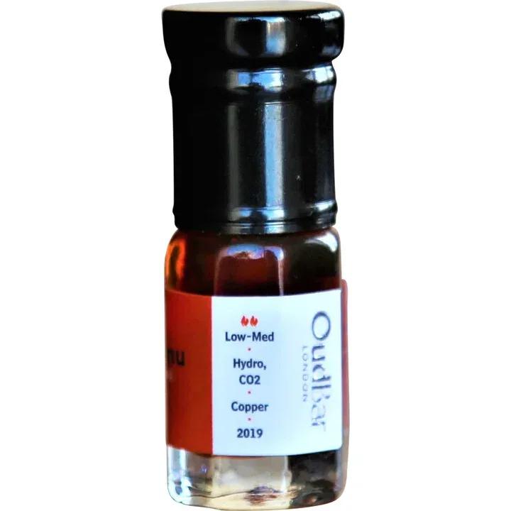 Black Copal For Strange Women Perfume Oil — For Strange Women
