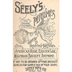 Easter Lily — Seely