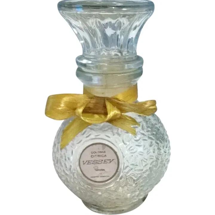 cyBorg Queen — Aether Arts Perfume