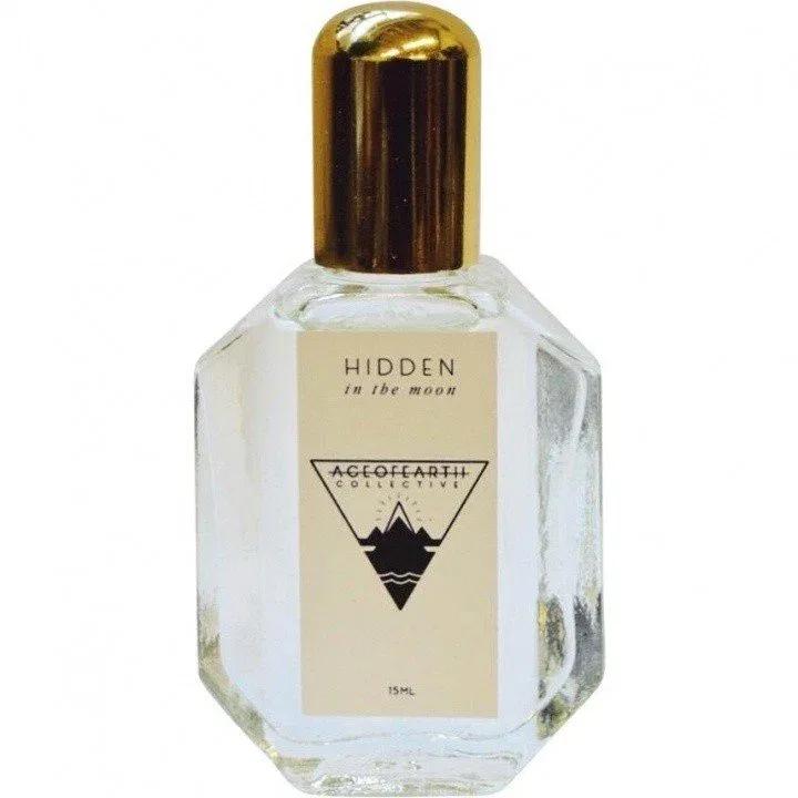 Hidden in the Moon — Age of Earth Collective