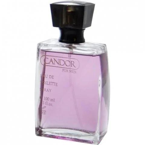 Candor for Men — Dorall Collection