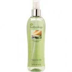 Fresh Cucumber Melon — bodycology