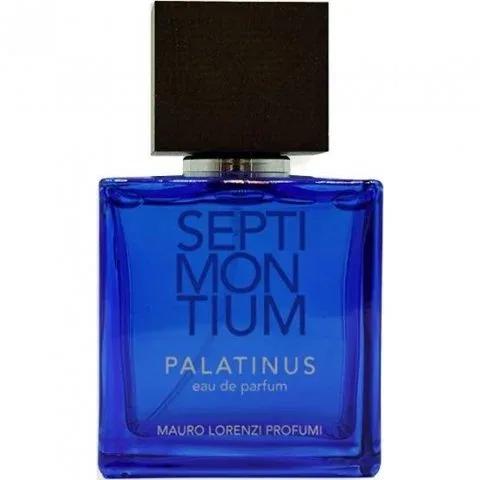 Septimontium - Palatinus — Mauro Lorenzi
