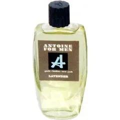 Antoine for Men - Lavender — Antoine
