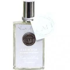Scents of Sicily - Felicudi — Baronessa Cali