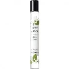 Petit Ardor - Citro Hush — The SAEM