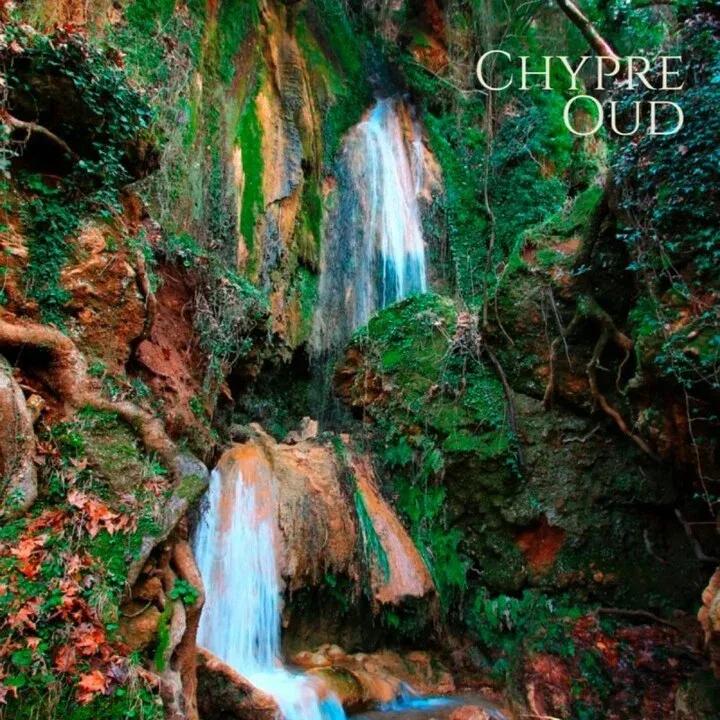 Chypre Oud — mesOud