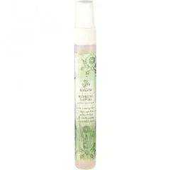 Lemongrass, Lemon Myrtle, Grapefruit & Eucalyptus — Urban Rituelle