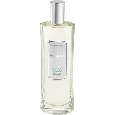 Soliflore Orange Flower — Dame Perfumery Scottsdale
