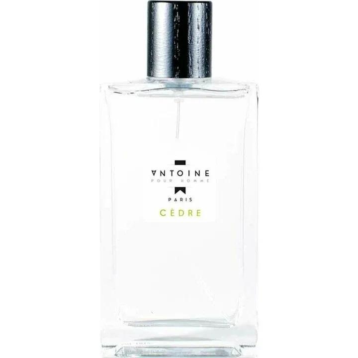 Antoine Cèdre — Antoine Parfums