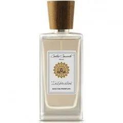Black Vetiver, Amber — Zielinski & Rozen