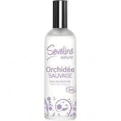 Seveline - Orchidée Sauvage — Laurence Dumont