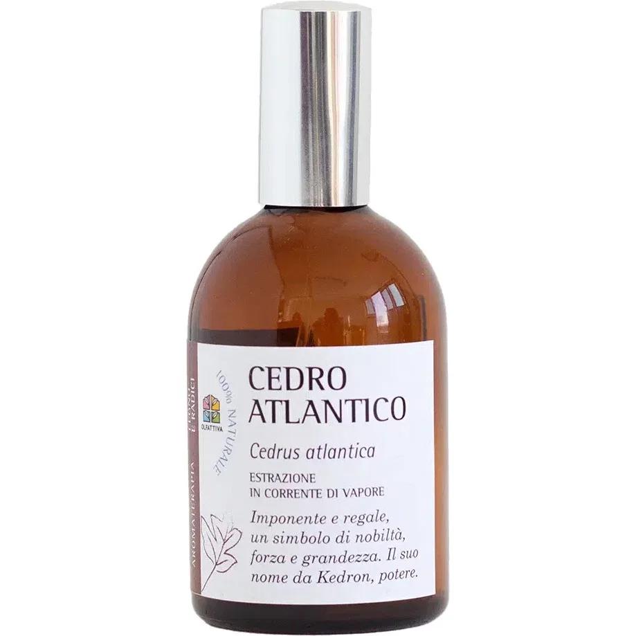 Cedro Atlantico — Olfattiva