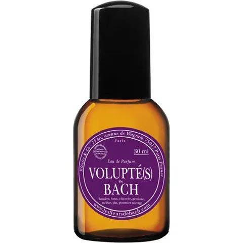 Chypre Oud Maharani — Auphorie