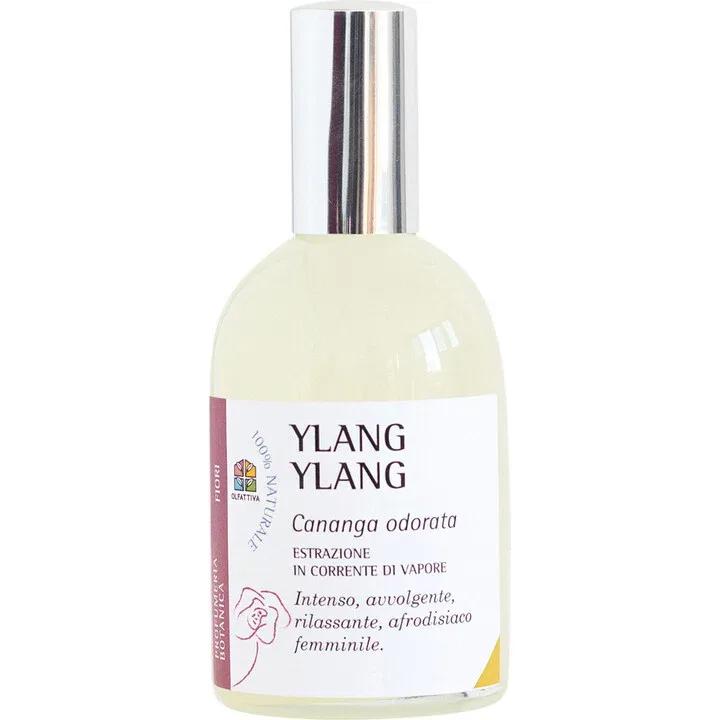 Ylang Ylang — Olfattiva
