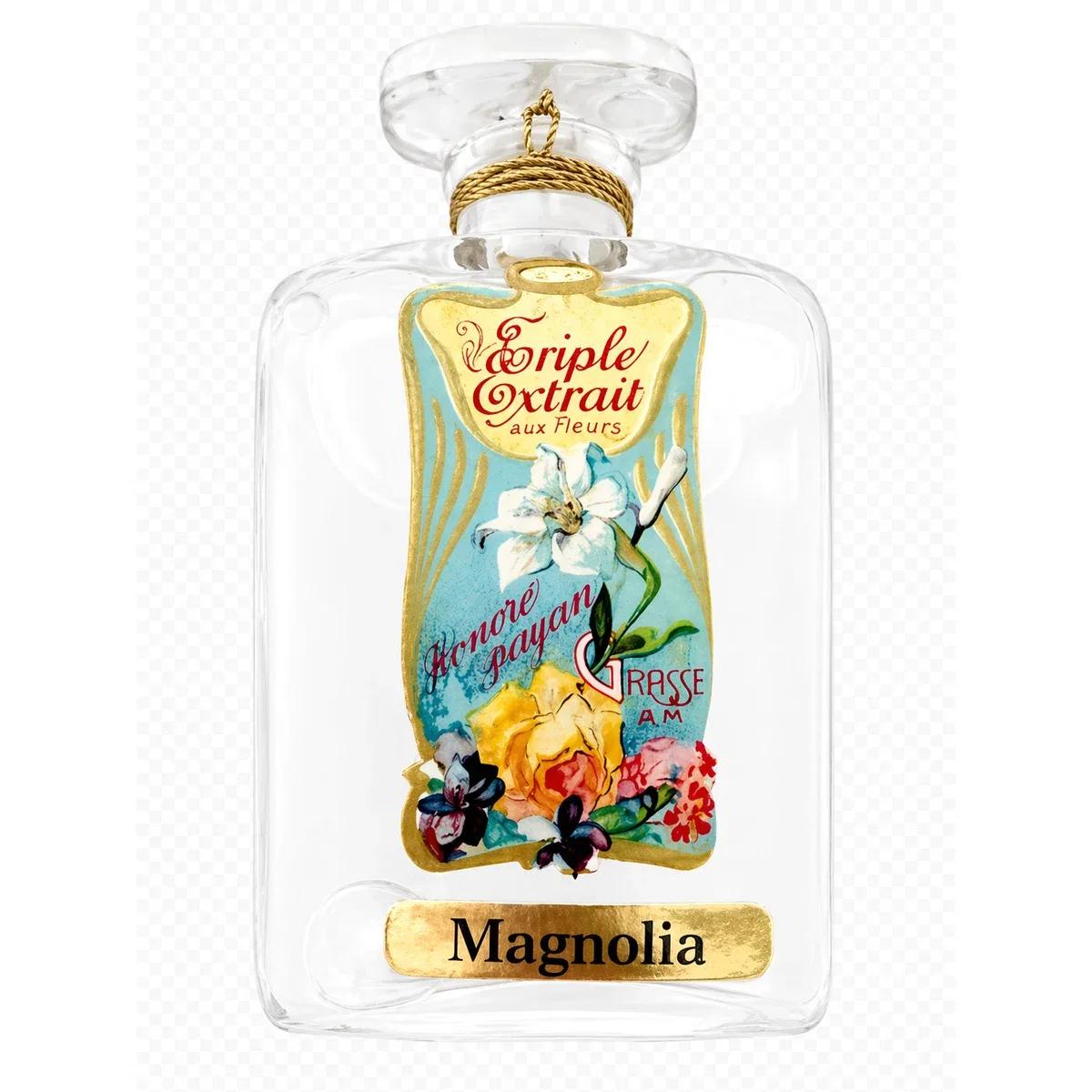 Magnolia — Honore Payan