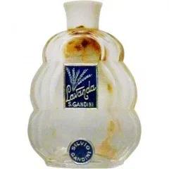 Lavanda — Gandini