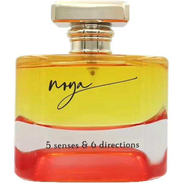 5 Senses & 6 Directions — Noya