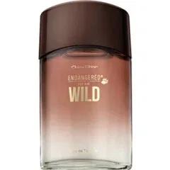 Endangered for Him Wild — Avroy Shlain