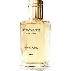 Brosse pour Femme — Les Parfums de Grasse