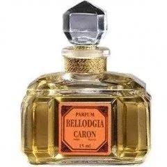 Bewitched — Amorphous / Black Baccara