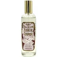 Fleur de cerisier — Honore Payan