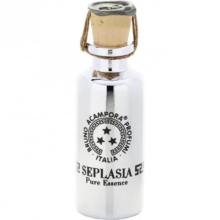 Seplasia — Acampora