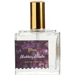 La Notte di Angelica Spezierie Palazzo Vecchio / I Profumi di Firenze Fragranza Concentrata — Spezierie Palazzo Vecchio / I Profumi di Firenze