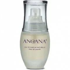 Désir de Lavande — Angana