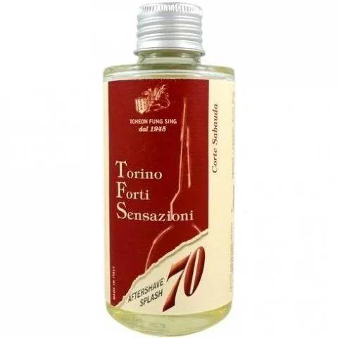 Torino Forti Sensazioni - Corte Sabauda — Tcheon Fung Sing