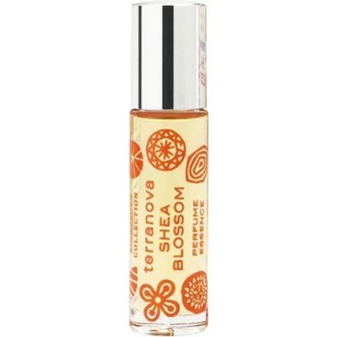 Signature Collection - Shea Blossom — Terranova