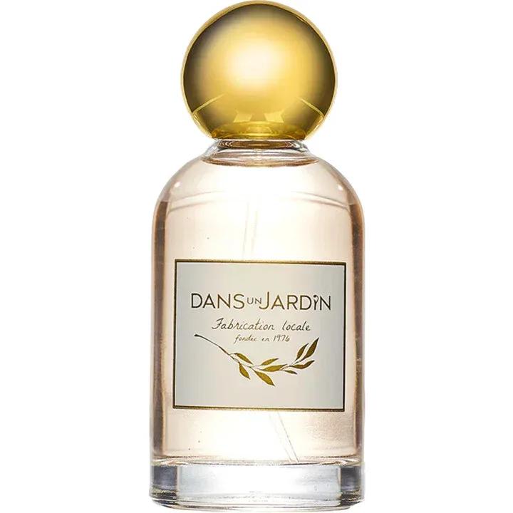 Palm Beach — Dans un Jardin