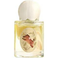 Pure Summer — Abercrombie & Fitch